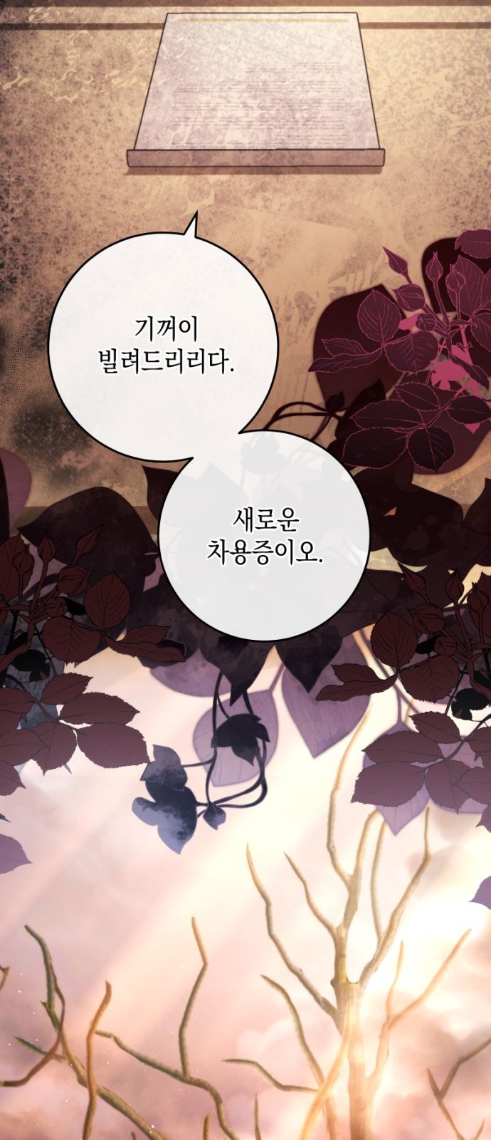 97 페이지