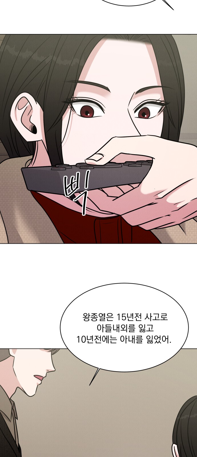 15 페이지