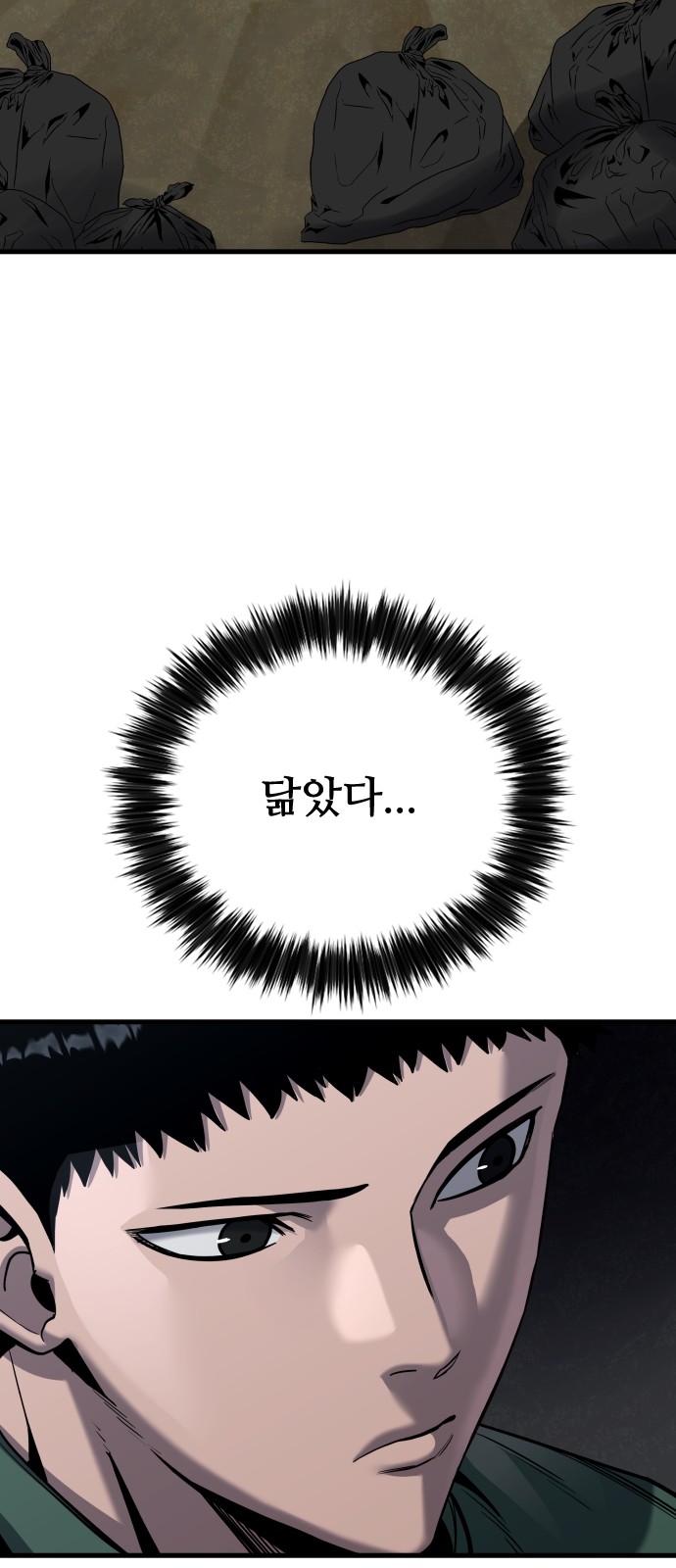 48 페이지