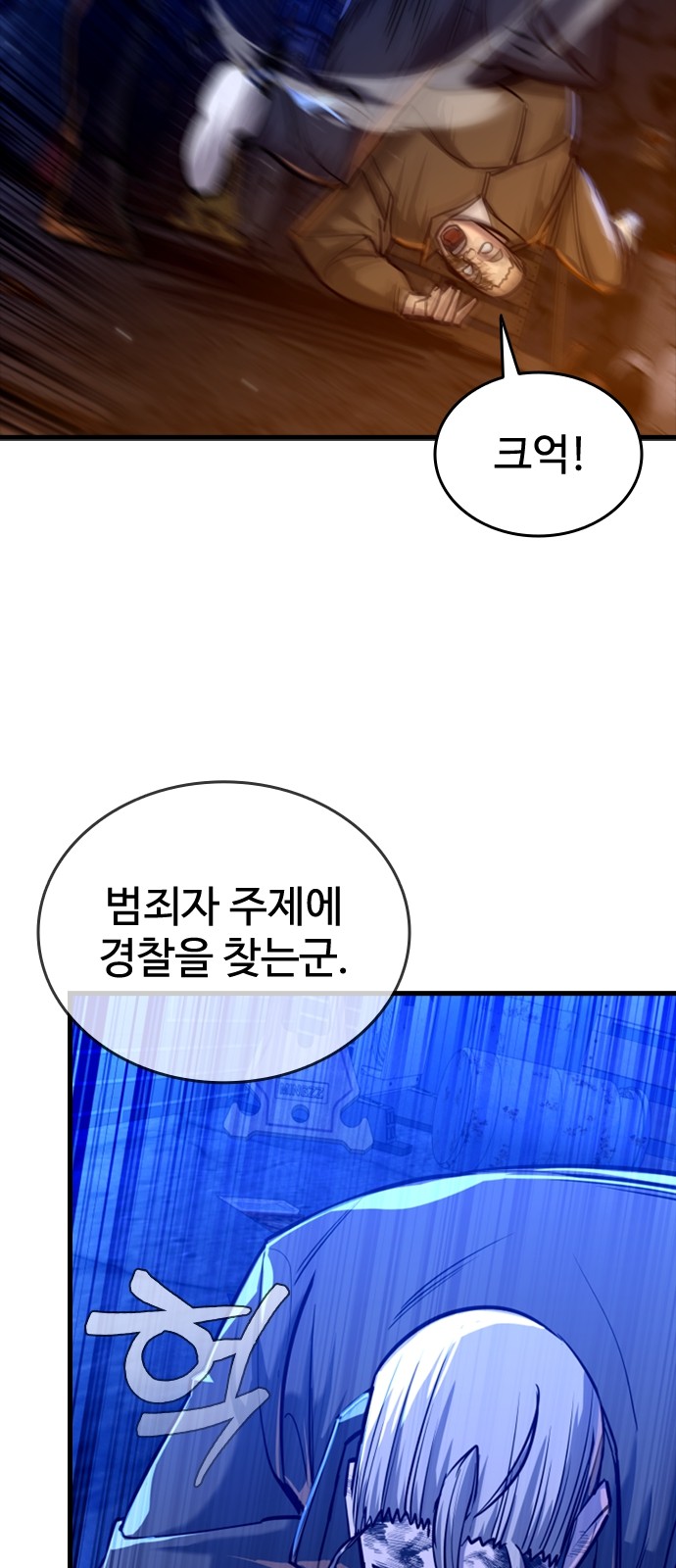 46 페이지