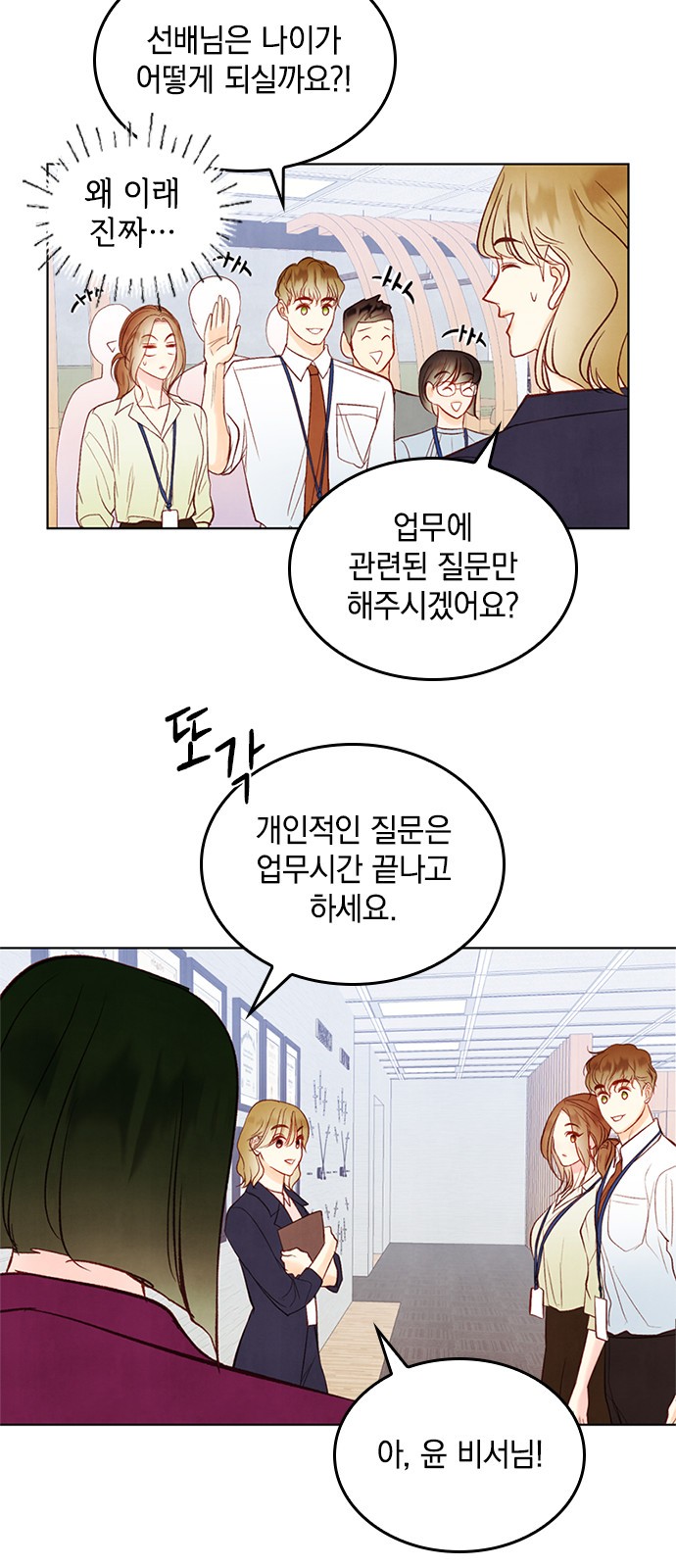 17 페이지