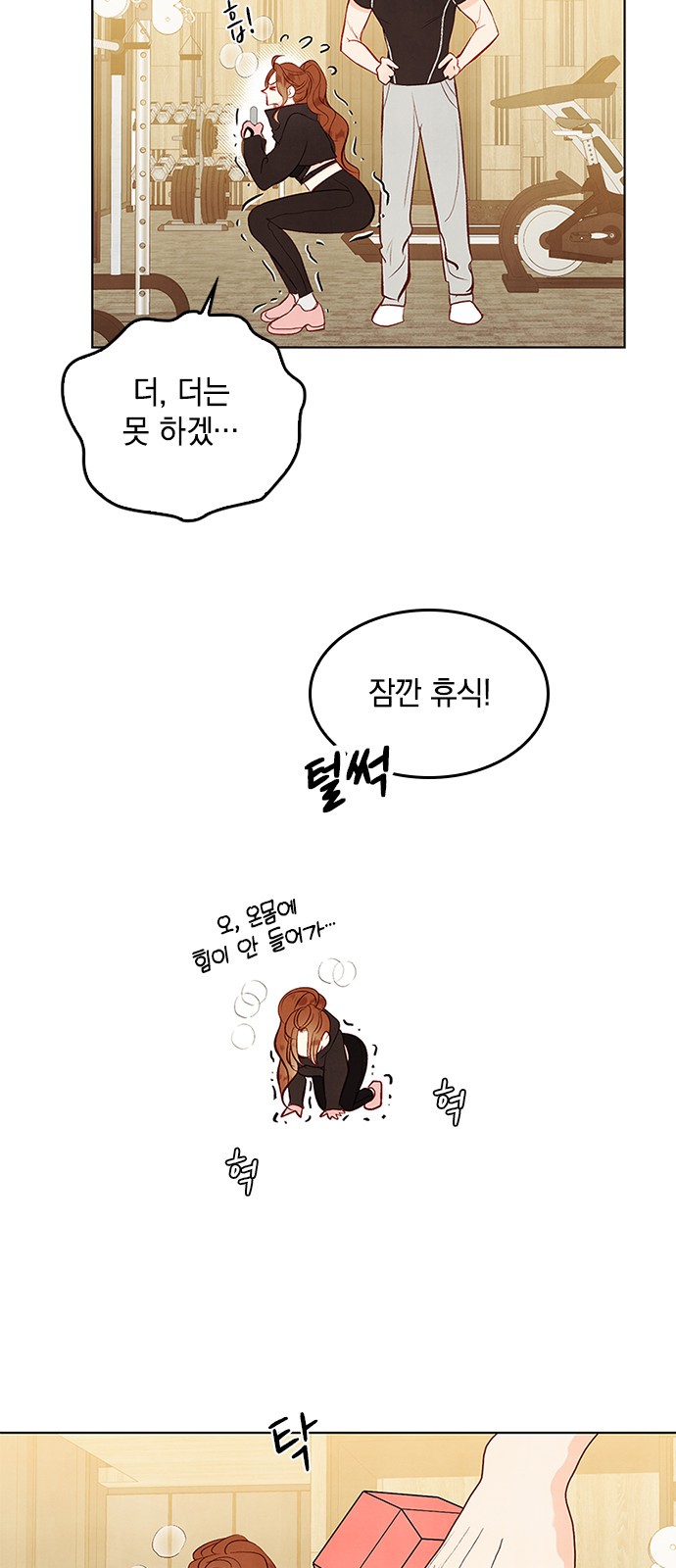 5 페이지