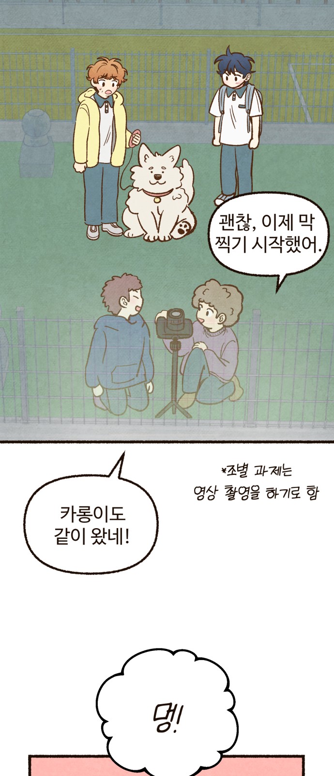 30 페이지