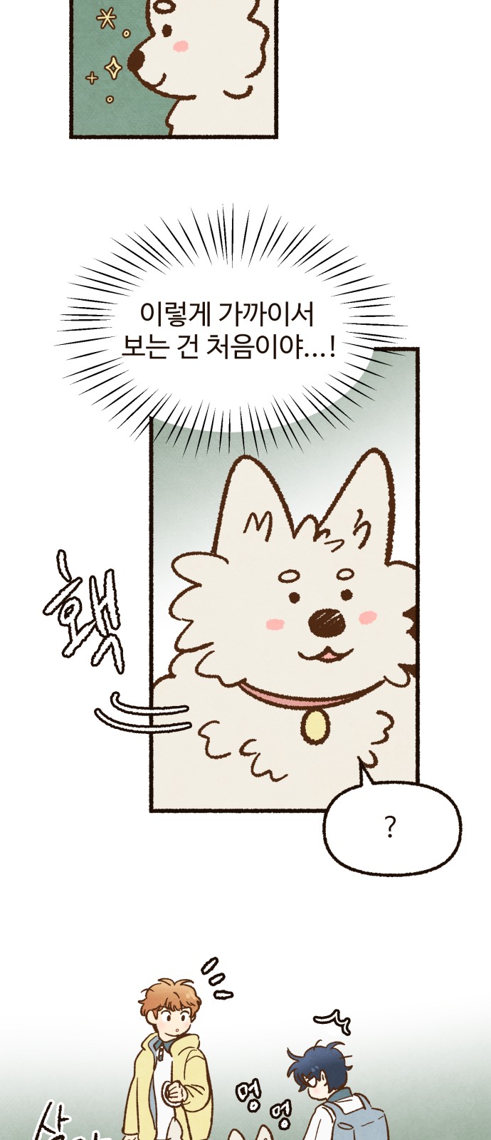 33 페이지