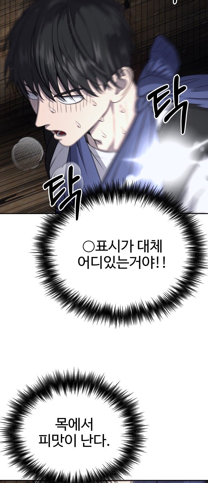 20 페이지