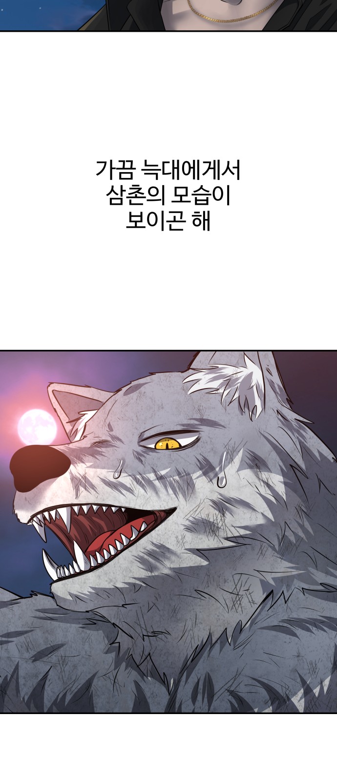 74 페이지