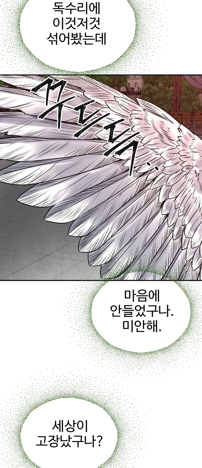 56 페이지