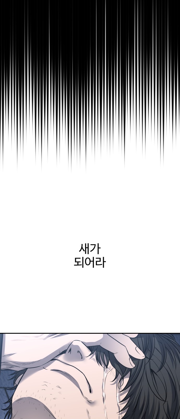 95 페이지