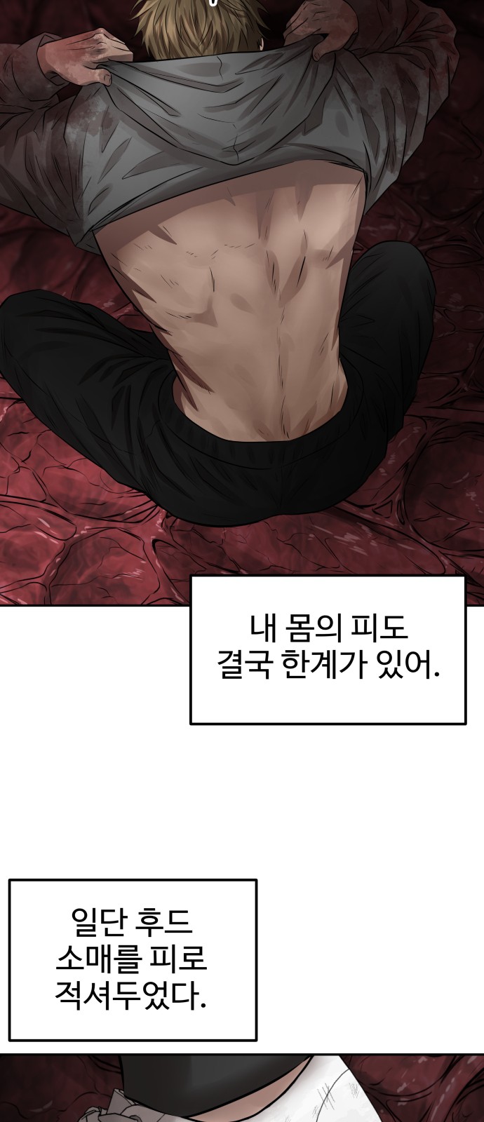48 페이지