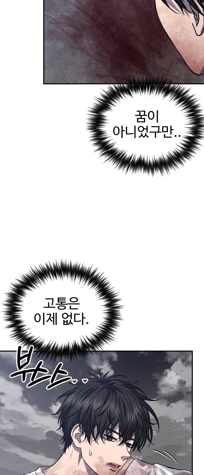 66 페이지