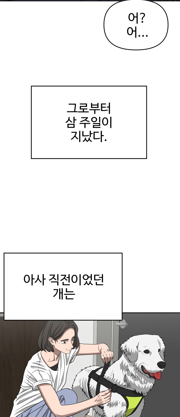 85 페이지