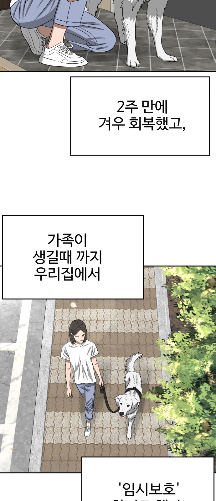 86 페이지