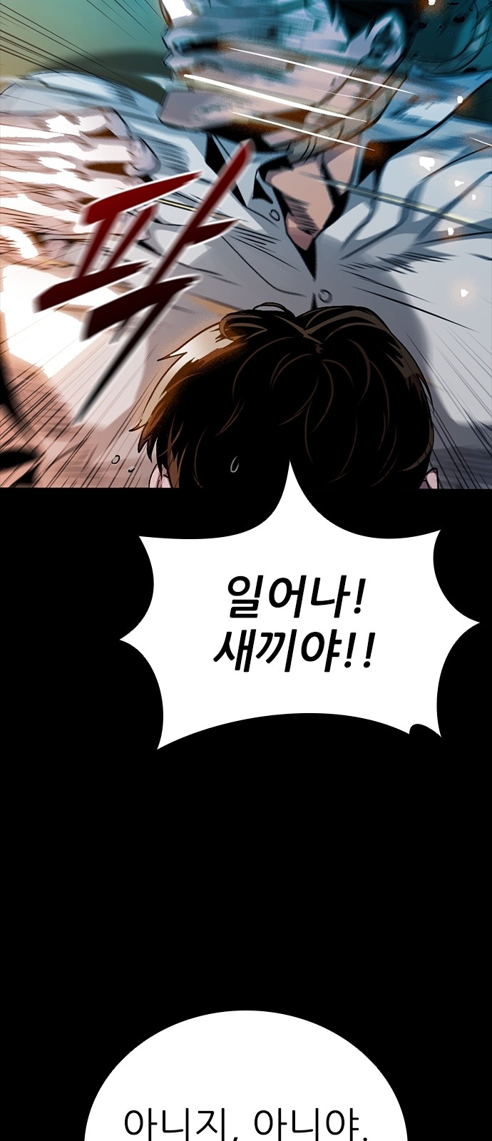 111 페이지