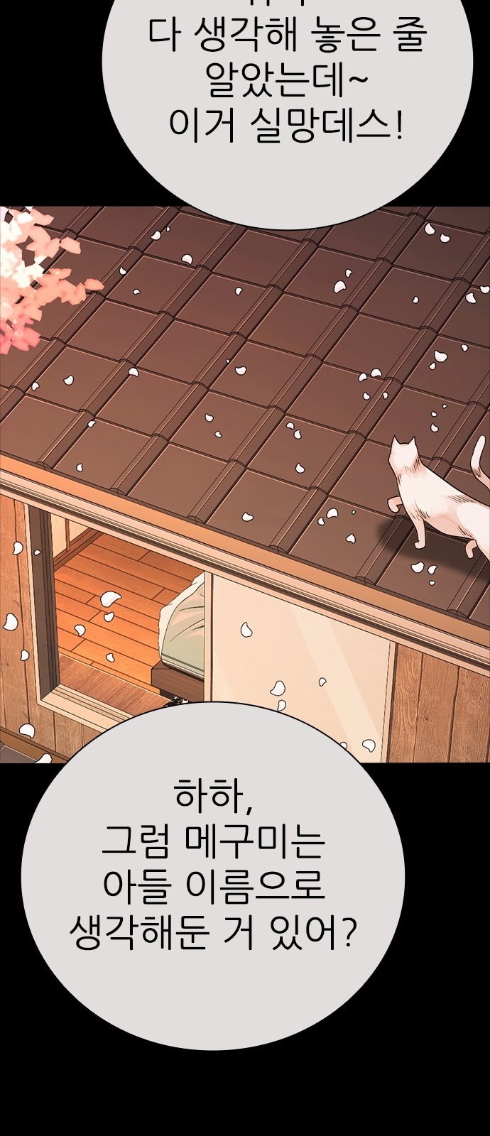43 페이지