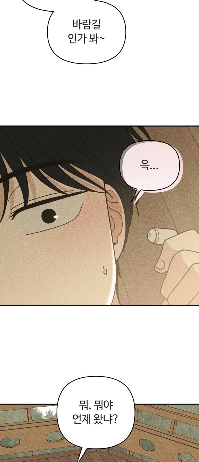 46 페이지