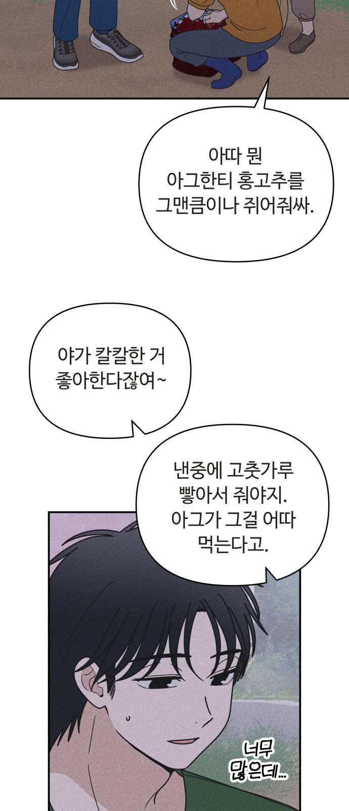43 페이지