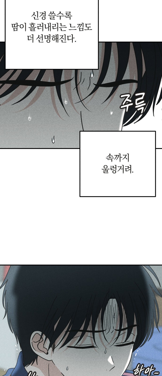 66 페이지