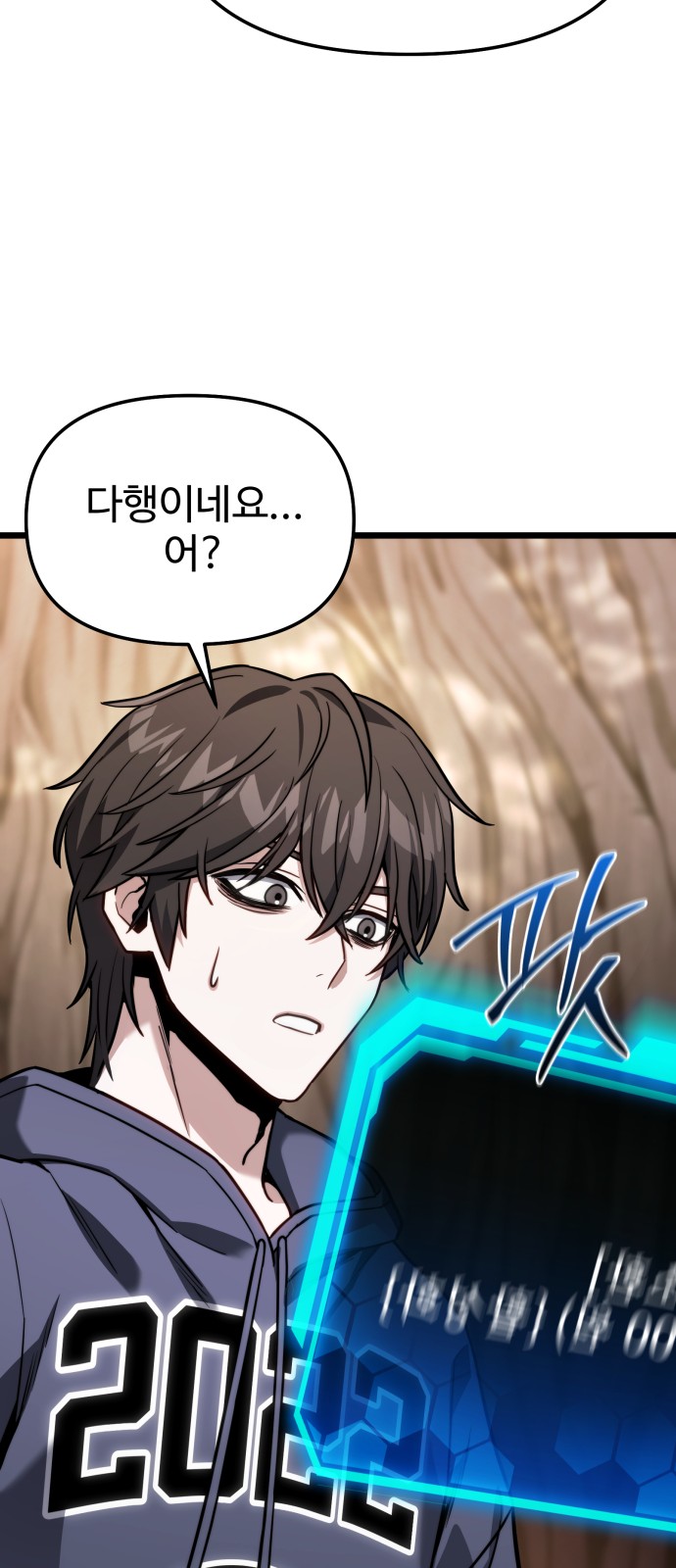 66 페이지