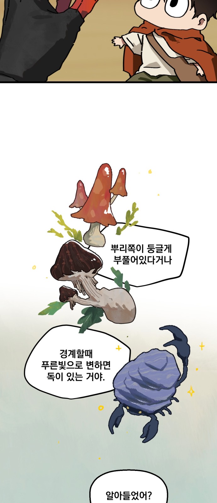 33 페이지