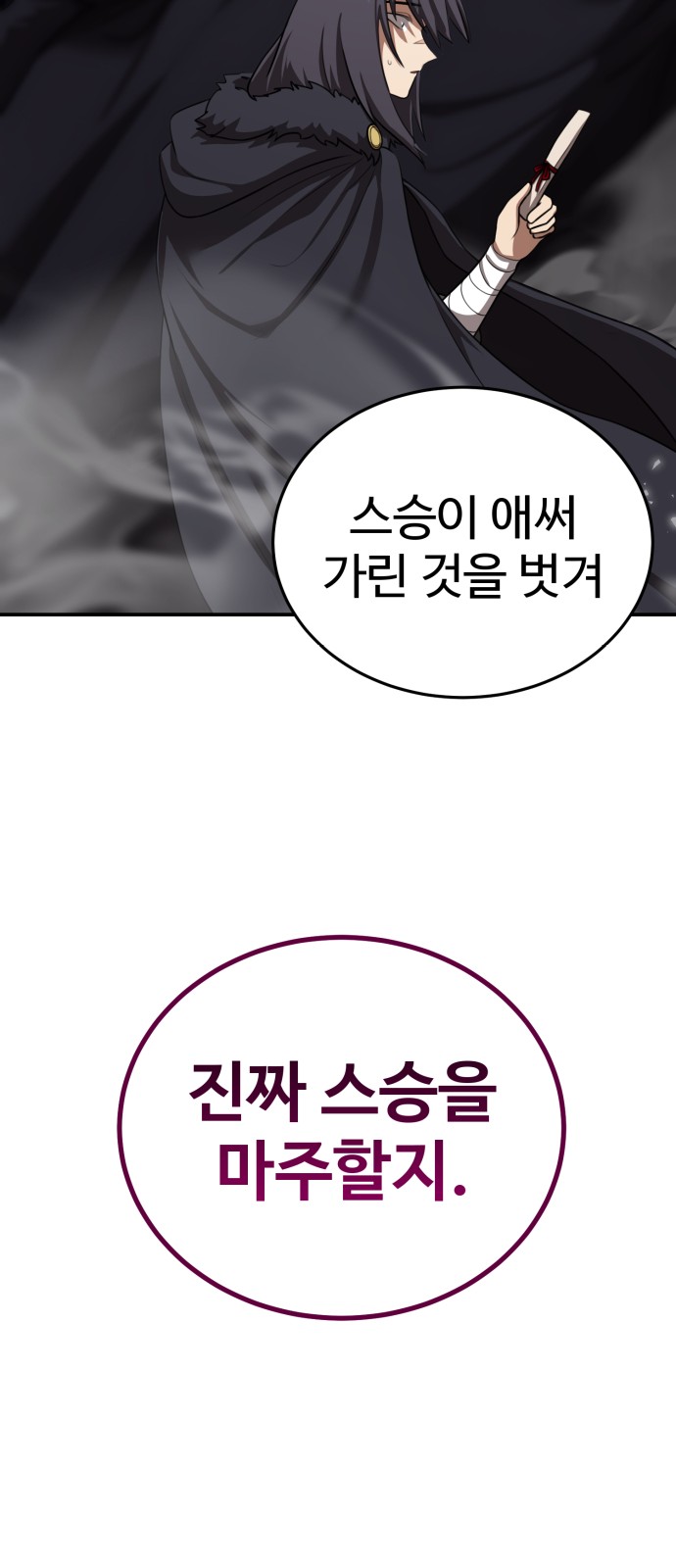 66 페이지
