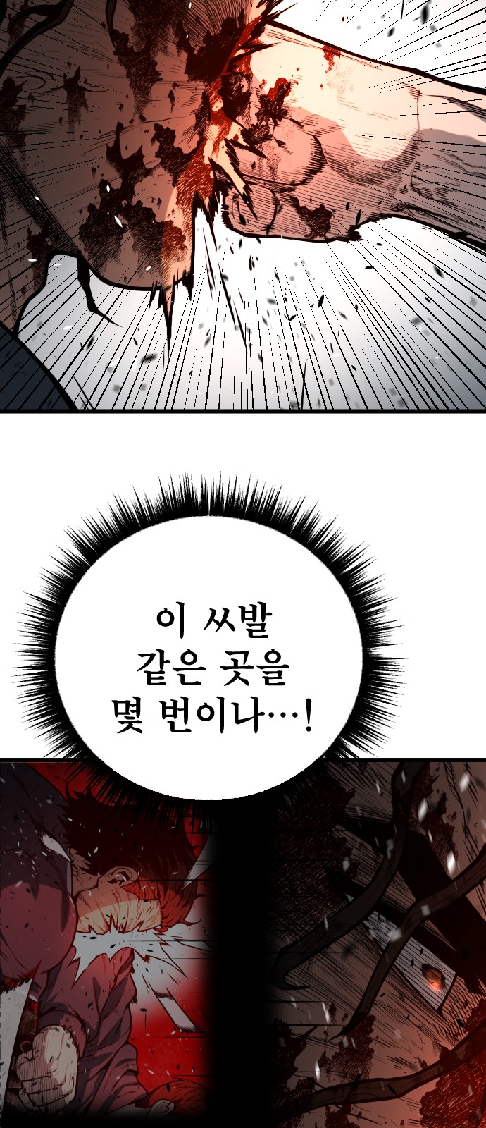 66 페이지