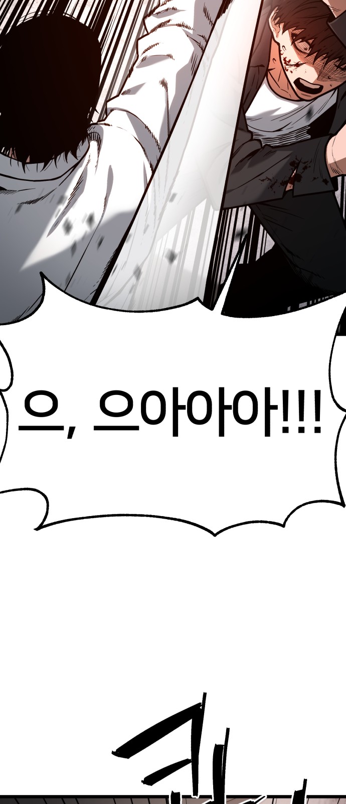 113 페이지