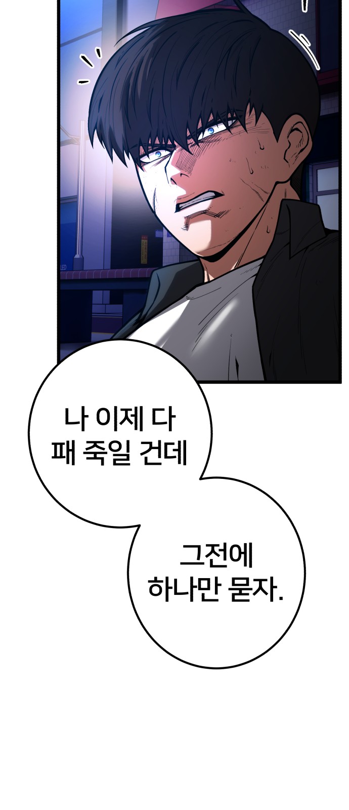 48 페이지