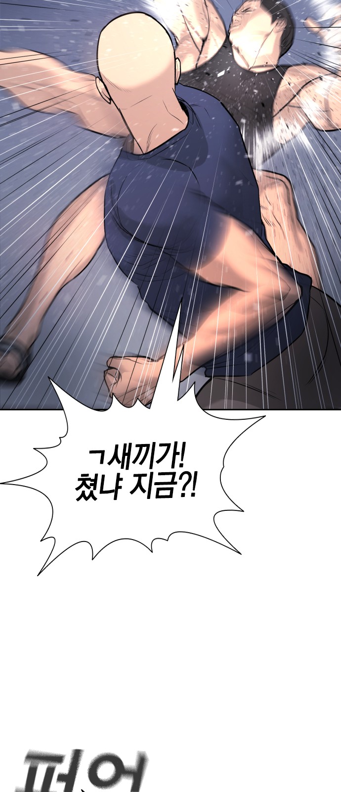 113 페이지