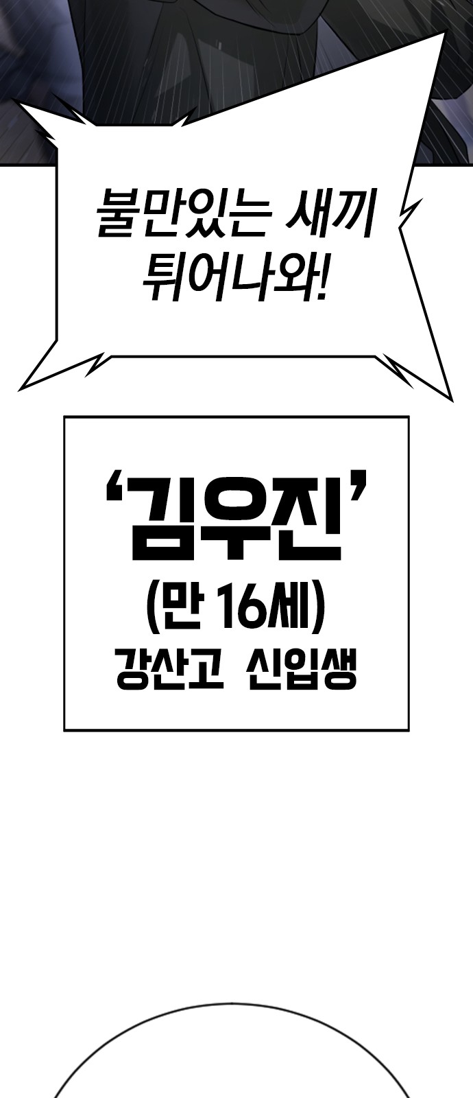 86 페이지