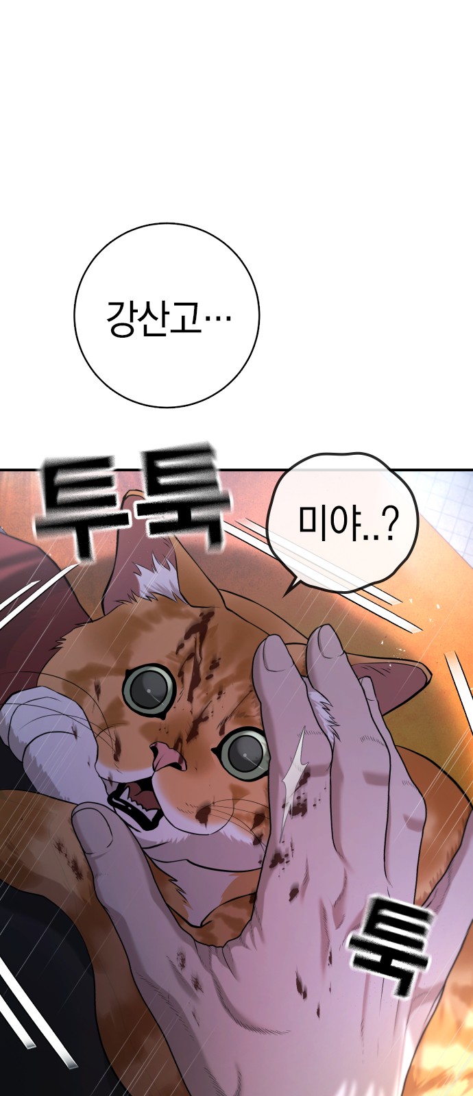 95 페이지