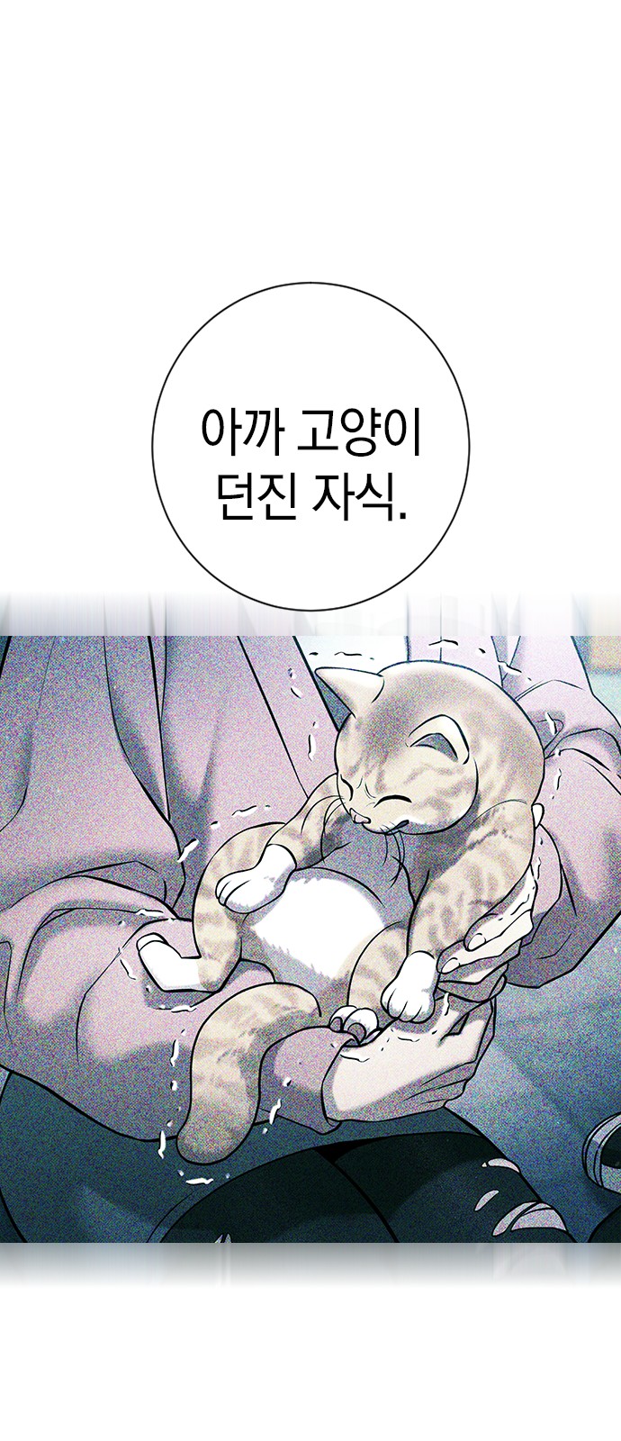 115 페이지