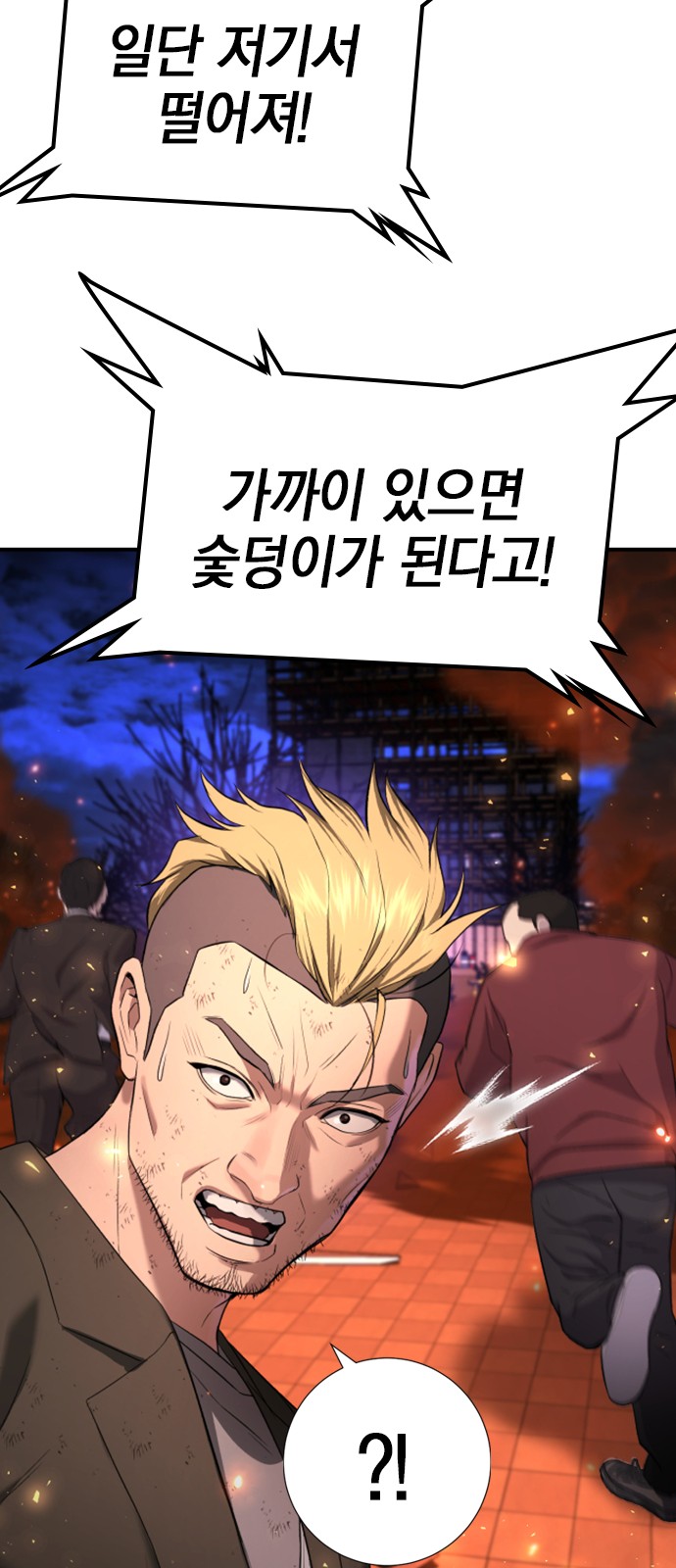 65 페이지