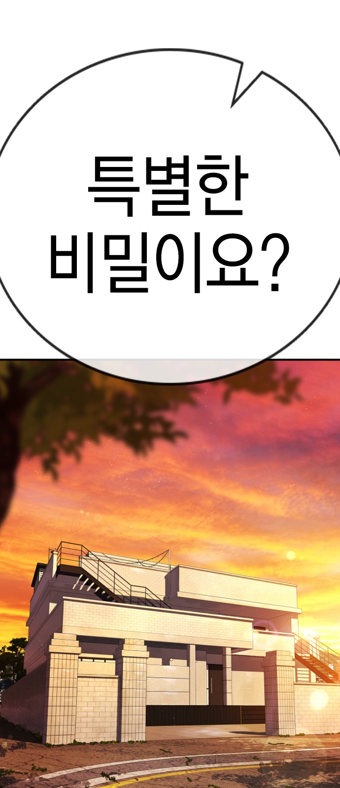 113 페이지