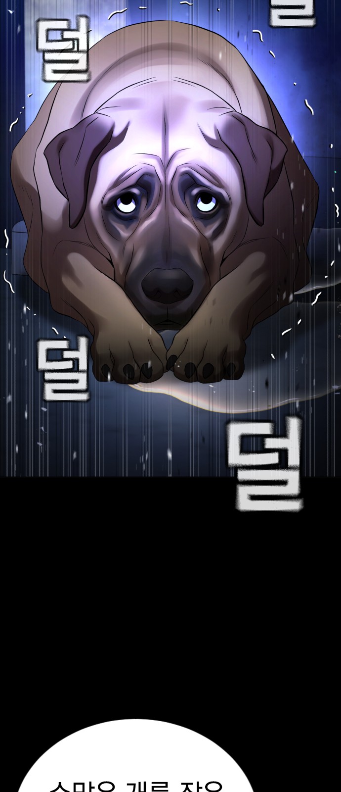 81 페이지