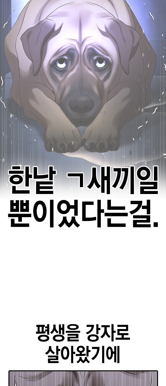 133 페이지