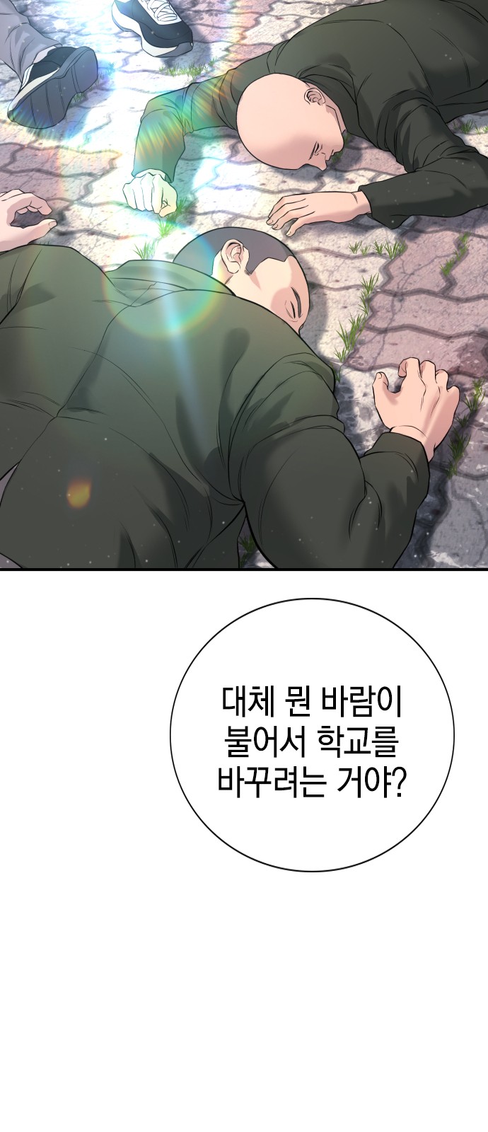 66 페이지