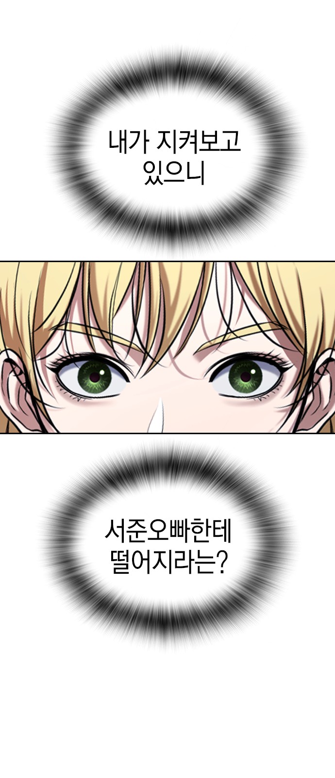 110 페이지