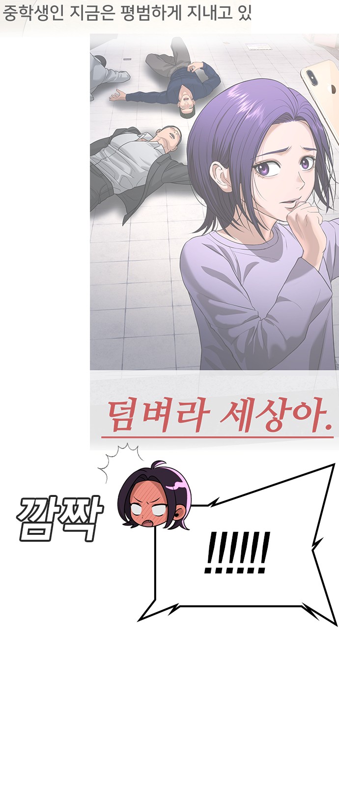 74 페이지