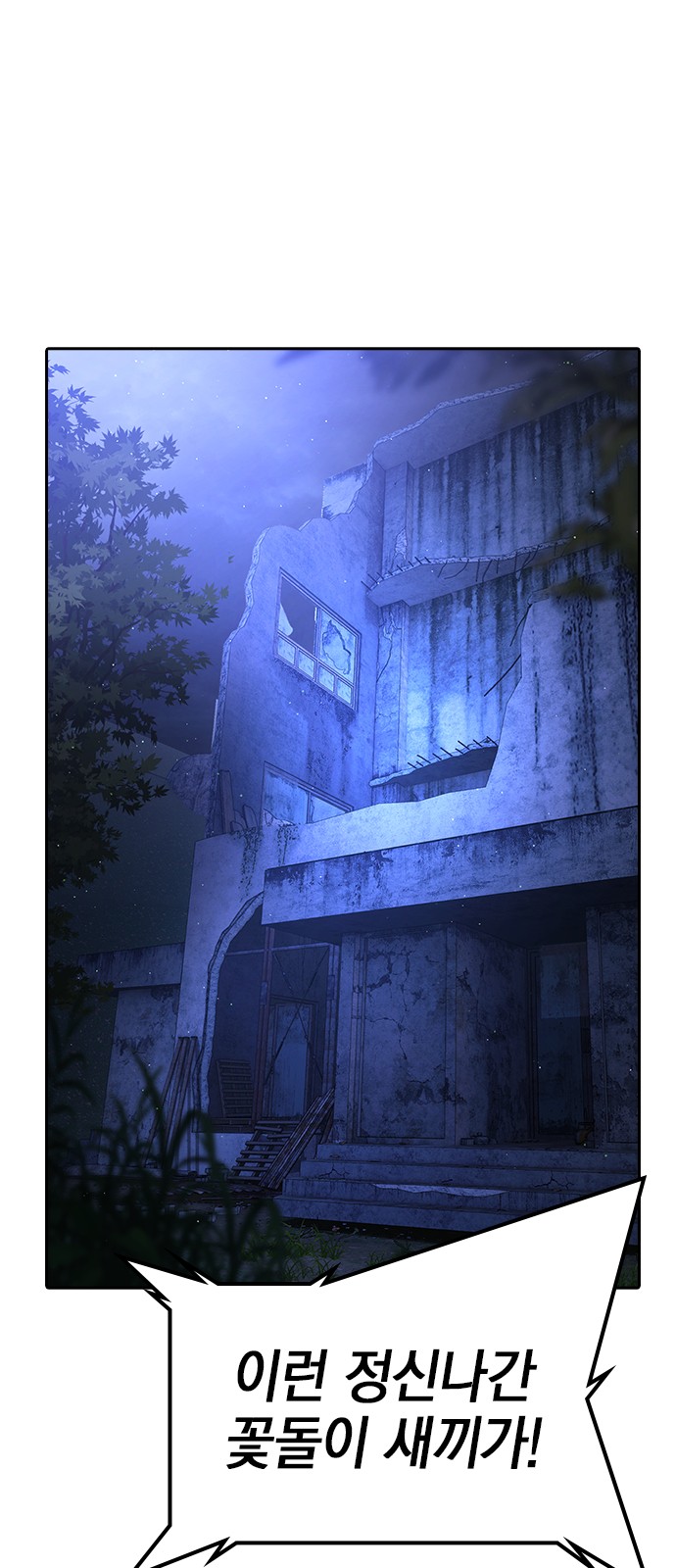 135 페이지
