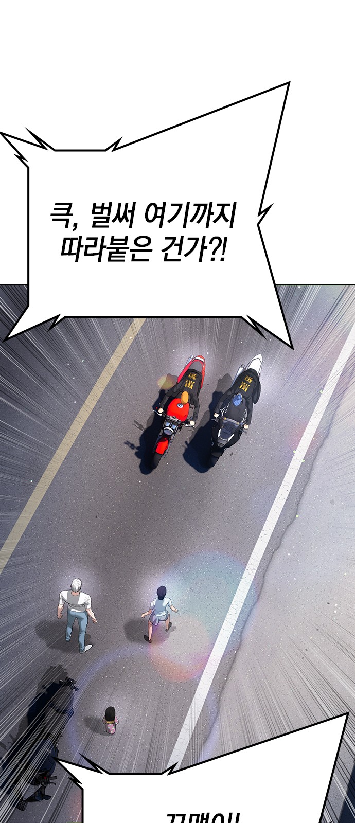 113 페이지
