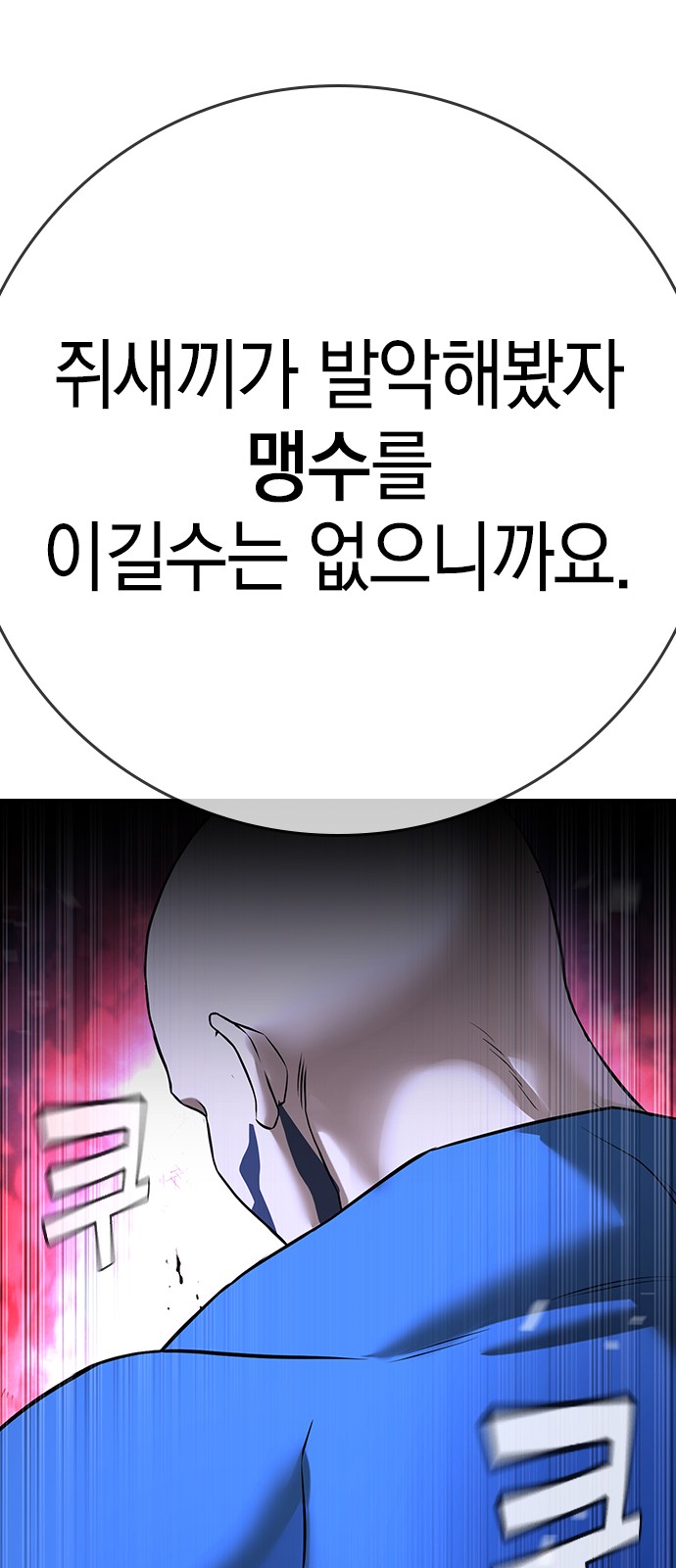 113 페이지
