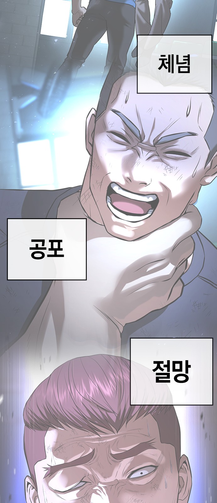 81 페이지