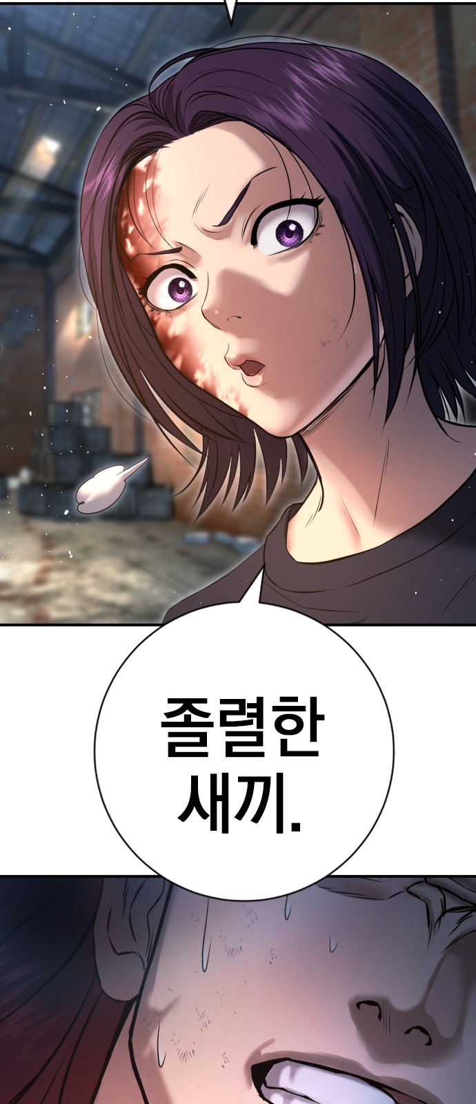 66 페이지
