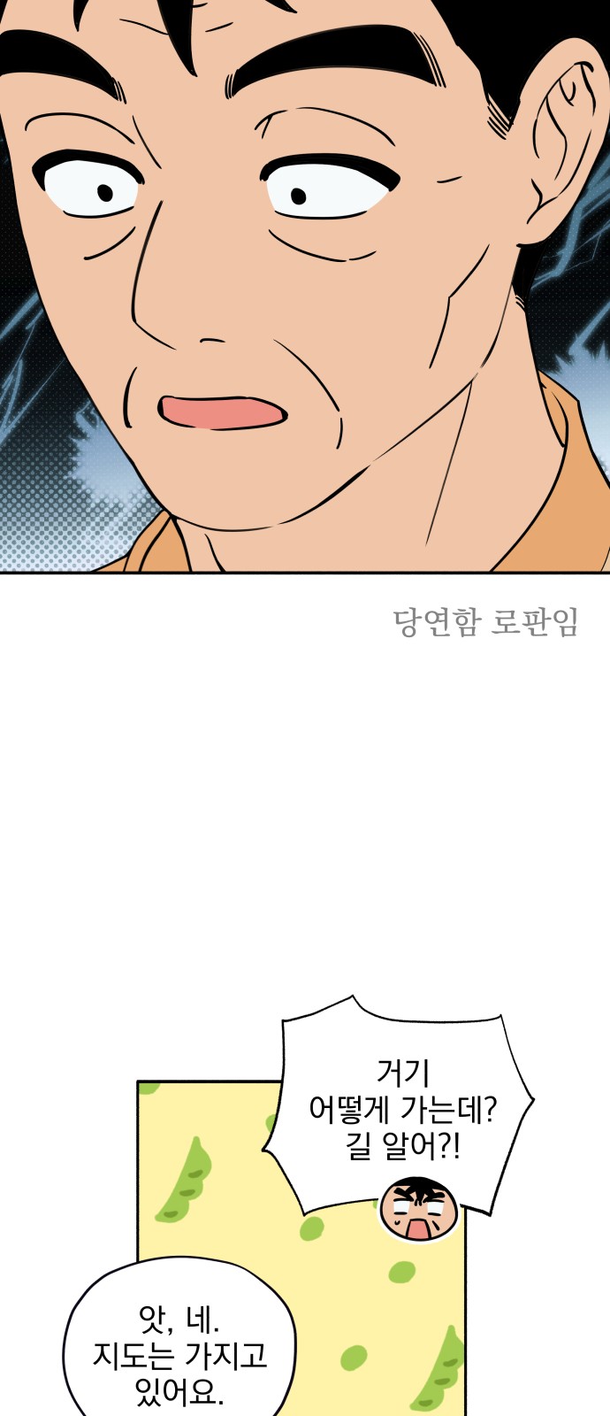 45 페이지