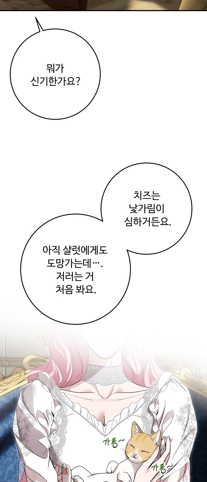 43 페이지