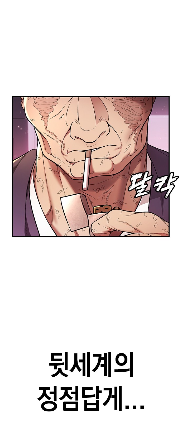 216 페이지