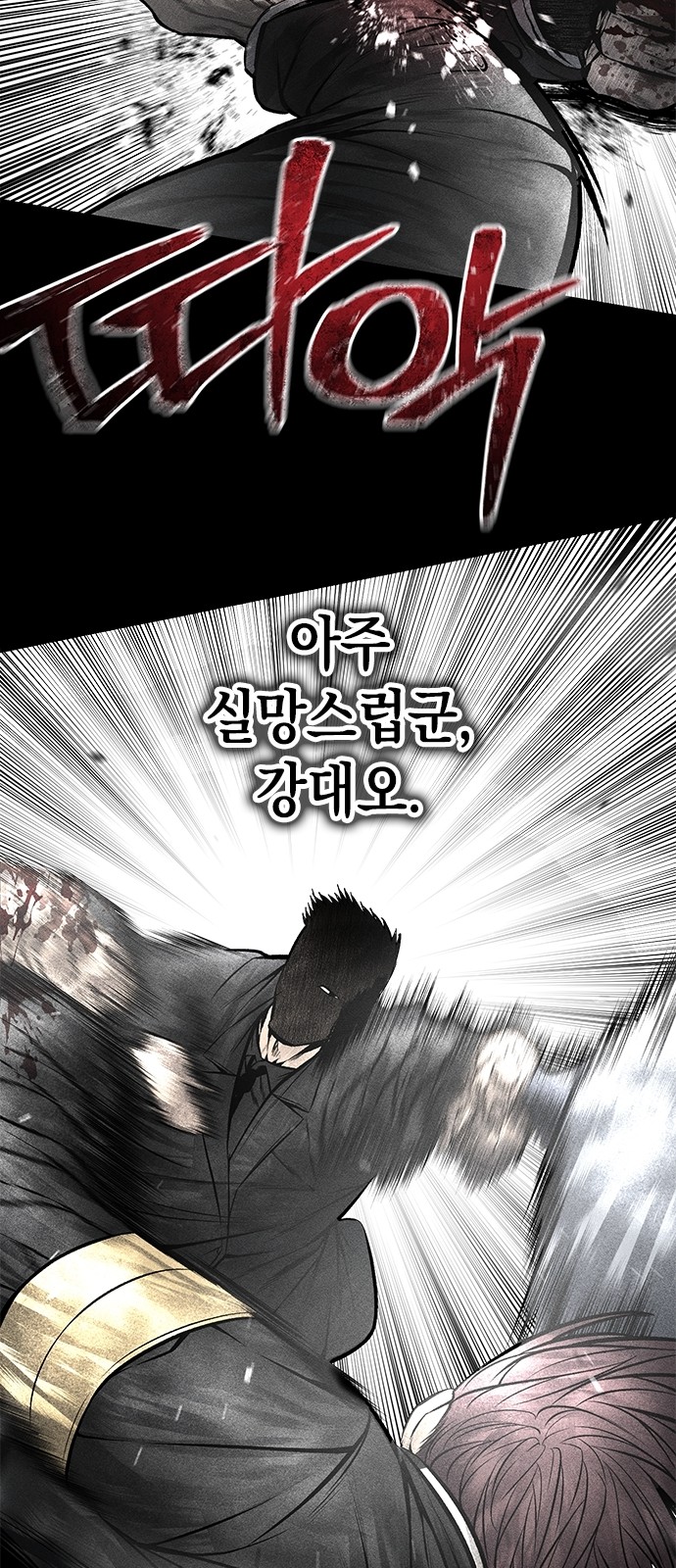 48 페이지