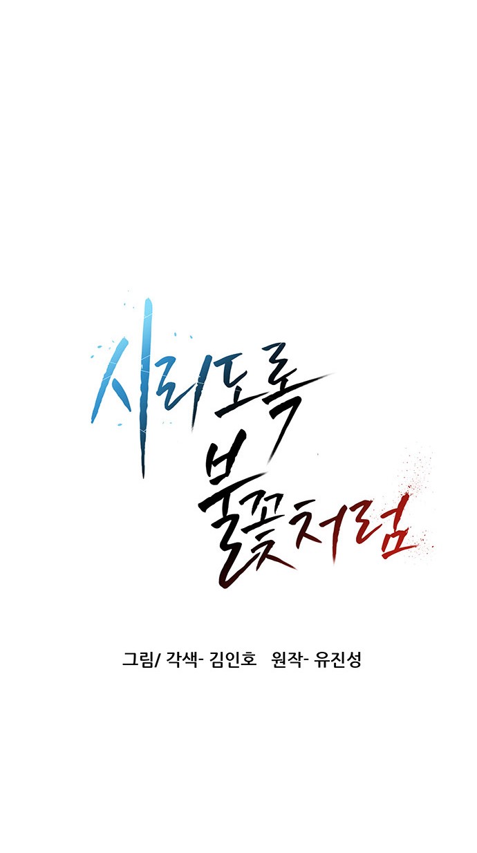 97 페이지