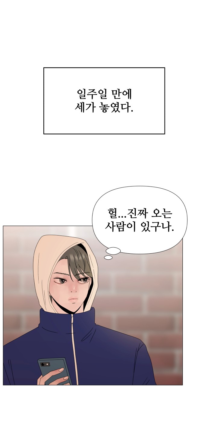 51 페이지