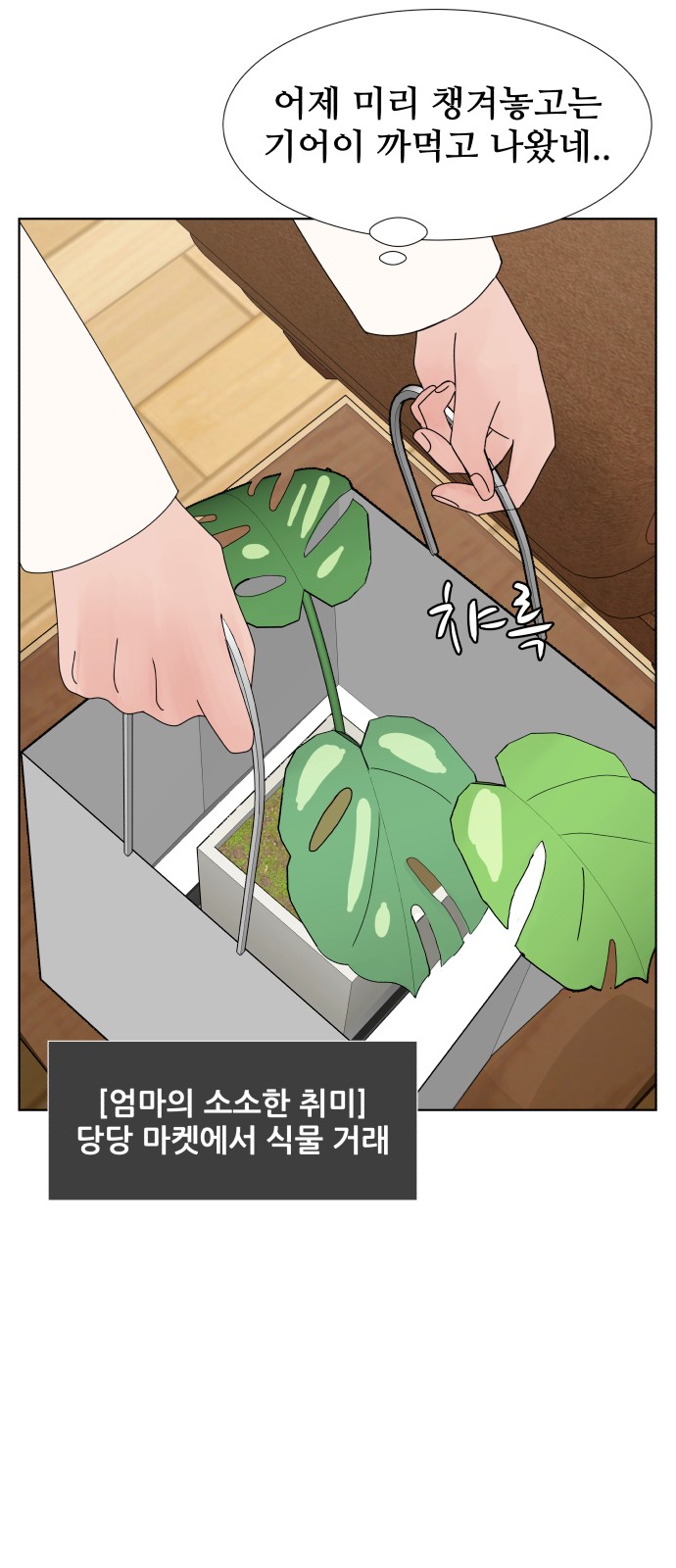 21 페이지